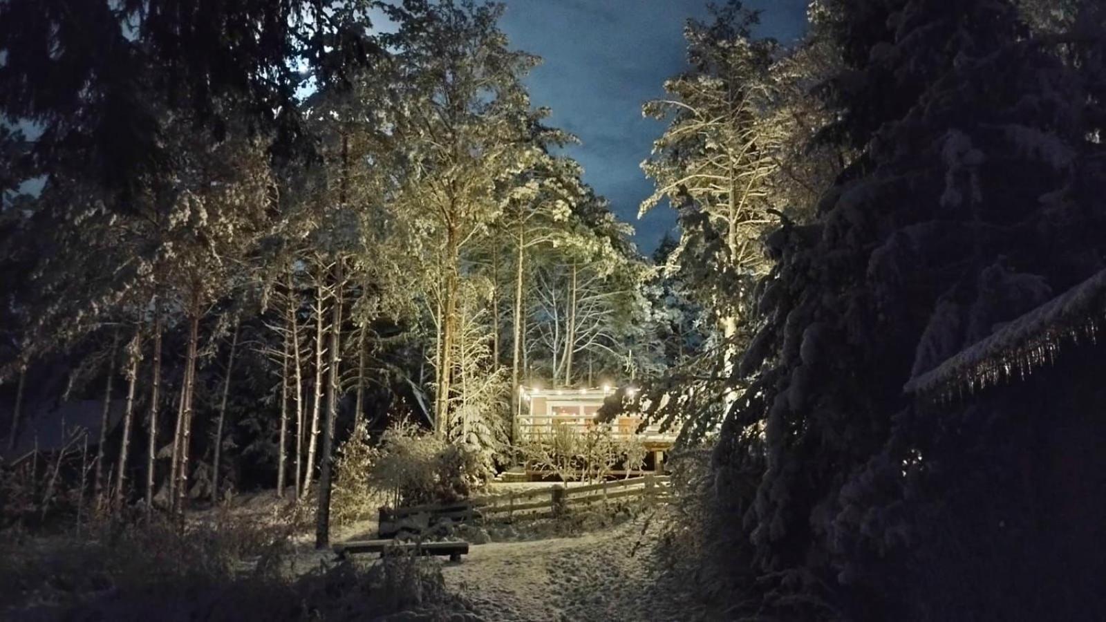 WąglikowiceSosnowy Azyl别墅 外观 照片