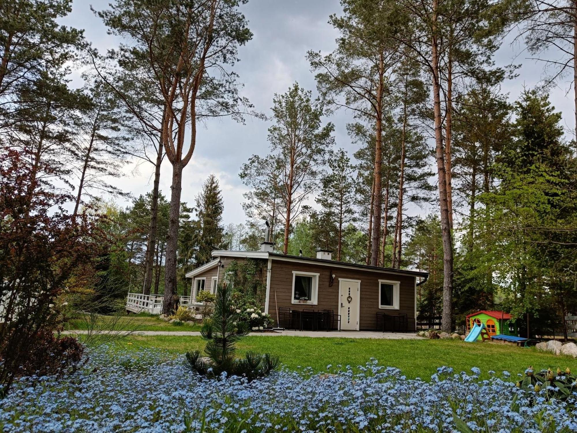 WąglikowiceSosnowy Azyl别墅 外观 照片