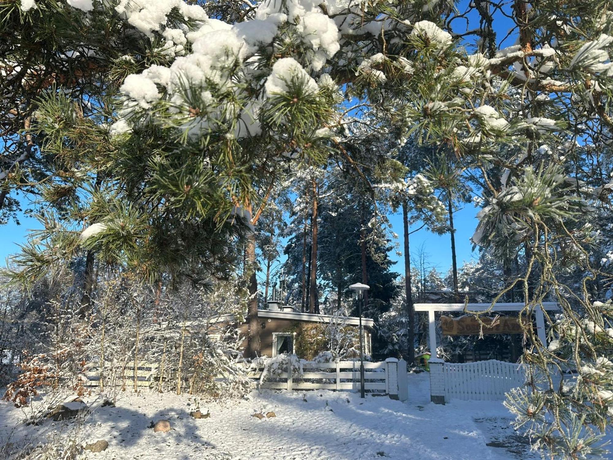 WąglikowiceSosnowy Azyl别墅 外观 照片